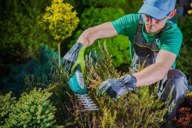 landscaping services East Farmingdale